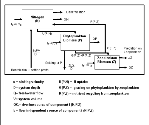 Figure 4. Structure of the NPZ response model model.