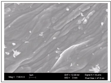 Figure 2. SEM images of the surface of the silica lined tubing a) SEM image of the surface AS-IS without subjected to any pretreatment.