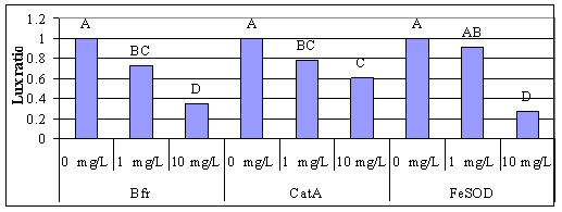 Figure 2A. Cd response