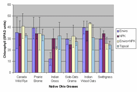 Figure 8. Comparison of Chlorophyll Measurements Across Six Ohio Grasses That Had Undergone Frequent Irrigation and Were Grown on the PAH-Contaminated Sludge in the Presence of Three Soil Amendments and Top Soil as Control