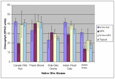 Figure 9. Comparison of Chlorophyll Measurements Across Five Ohio Grasses That Had Undergone Infrequent Irrigation and Were Grown on the PAH-Contaminated Sludge in the Presence of Three Soil Amendments and Topsoil as Control