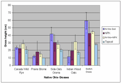 Figure 11. Comparison of Grass Heights Across Six Ohio Grasses That Had Undergone Infrequent Irrigation and Grown on the PAH Contaminated Sludge in the Presence of Three Soil Amendments and Topsoil as Control