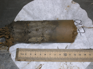 Figure 14. Figure Shows Root Penetration Through Soil Amendment and Sludge Layers Observed Across All Treatments