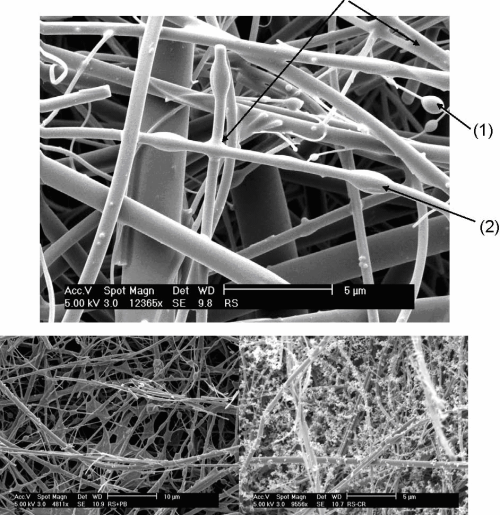 Figure 1. Top: SEM Image of Organic Matter Devolatilized From Wood and Sampled on a Fiber Filter in the Laboratory. Bottom: Field samples of wood burning: left, smoldering combustion showing filter wetted with organic matter; and right, flaming combustion showing defined particles.