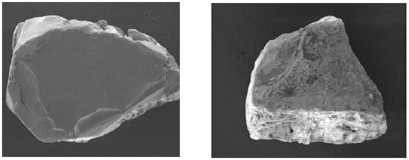 Scanning Electron Micrographs of the ZVI Surface Before and After Reaction With DNT in the Presence of 3 mM FeCl3
