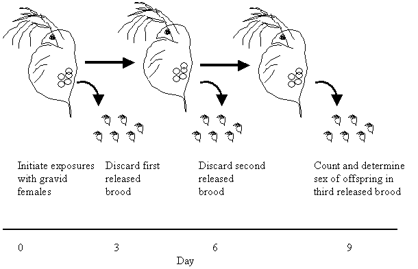 Schematic Representation of the Screening Assay Experimental Design Used To Detect Juvenoid-Related Activity of Chemicals