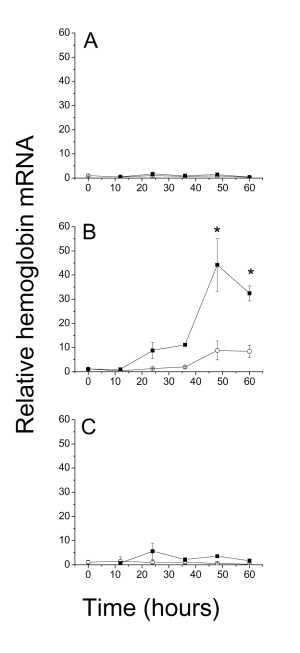 Figure 11. Time Course of Hemoglobin Induction From Atrazine Exposure.