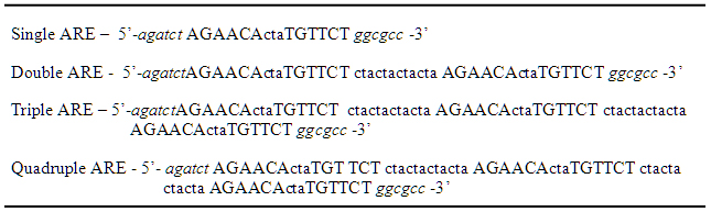 Sequence of Four Androgen Response Elements Based on Information From Horie-Inoue, et al. (2004) and Haendler, et al. (2001)