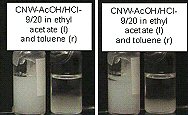 Figure 3. Acetylated CNW in ethyl acetate and toluene right after sonication (left) and one hour later (right).