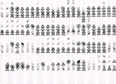Figure 2. A microfluidic biochip showing a few positive spots that are unique to one sample (circles) vs. many that are present in other types of samples (triangles).