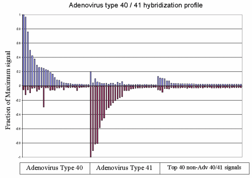 Figure 6. Adenovirus type 40 and 41 hybridization results.