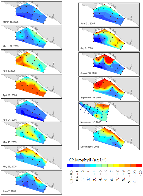 Surface Chlorophyll Distribution During Field Surveys From March Through December 2005