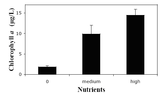 Figure 2. Effects of the Nutrient-Enrichment Treatments