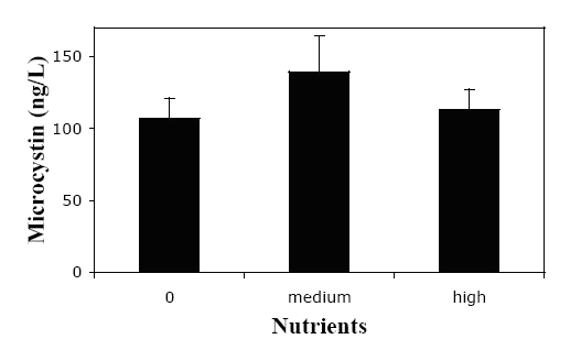 Figure 3. Effects of the Nutrient-Enrichment Treatments