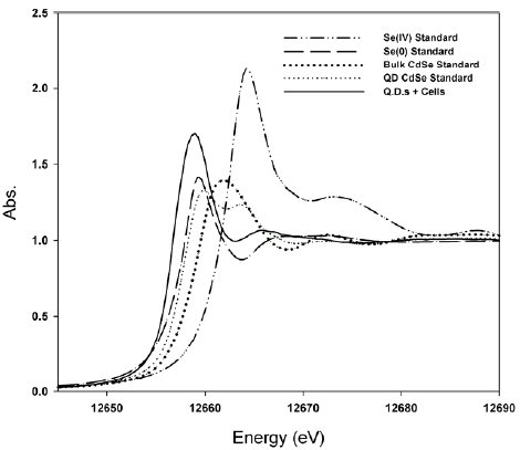 Figure 10. XANES spectra for the CdSe quantum dot treatment.
