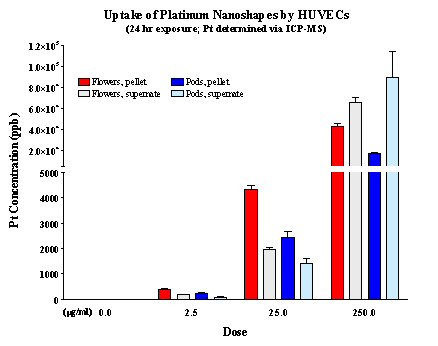 Figure 6. Quantitation of Pt NP uptake by HUVEC via ICPMS.