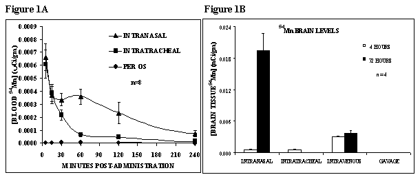 Figure 1. The Effects of Different Routes of Administration on the Absorption of 54Mn Into the Blood and Tissue Uptake.  Figure 1A shows that, for the initial period of 4 hours, 54Mn was absorbed much faster after intranasal and intratracheal instillation compared to ingestion.  Absorption from the nose also appeared faster than from the lungs.  Figure 1B shows that, although the blood levels were identical from over 4 hours until 3 days (time of euthanasia), 54Mn accumulated most significantly in the brain of intranasally instilled rats.