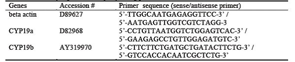 Primer Sequences for Synthesizing Probes