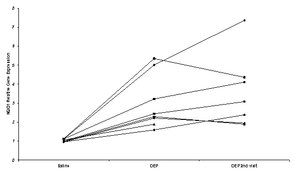 Figure 1.  Relative Levels of NQO1 Gene Expression After Normalization to an Internal Control.