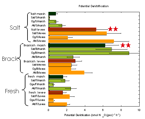 Figure 2. Potential Denitrification Rates in Saltwater (SALT), Brackish (BRACK), and Freshwater (FRESH) Soils.