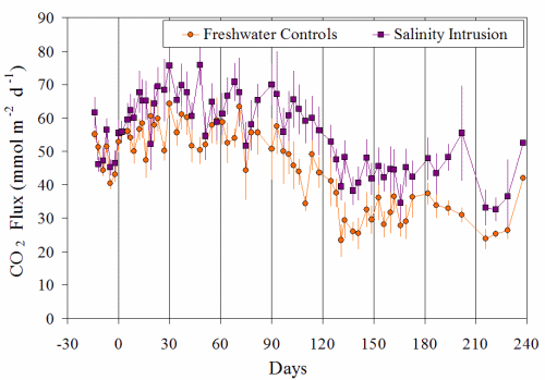 Figure 2. Laboratory Experiment: Long-term CO[2] Flux Rates