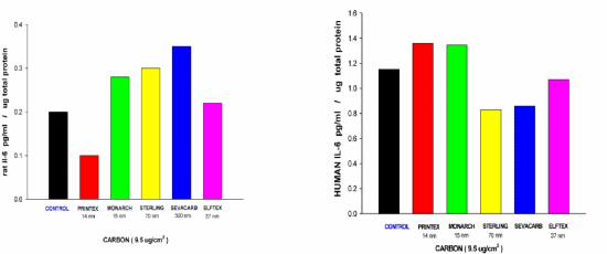 Figure 1 Production of IL-6 by Vascular Endothelial cells from rat and human following treatment with Carbon particles of varying size.