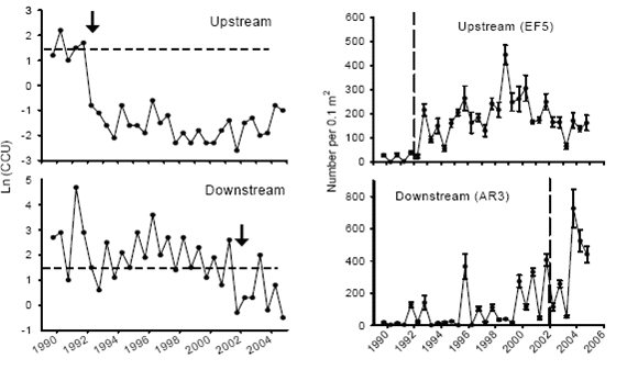 Figure 2. Long-term (1989-2004) Changes in Metal Concentrations (left panels) and Abundance of Mayflies (right panels) at Upstream and Downstream Stations in the Arkansas River, Colorado.