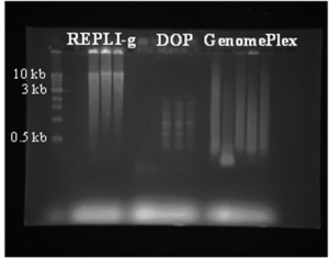 Figure 1. Visualization of DNA Quality.