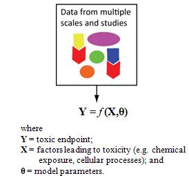 Quantitative, dose-response models explain toxic endpoints as a mathematical function of various causal factors