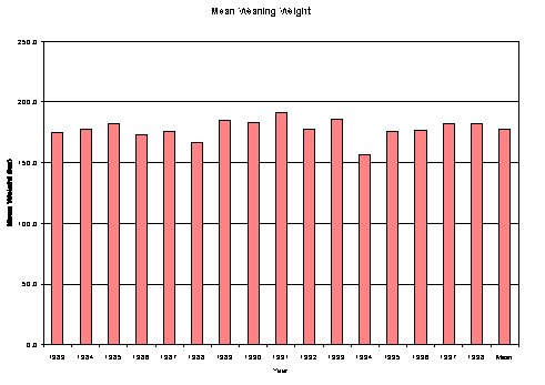 Figure 3. Mean calf weaning weight, a biological indicator of rangeland health, from 1983 to 1998 on Deseret Land & Livestock Ranch. The plot suggests constant and stable weaning weights and thus stable forage conditions. 