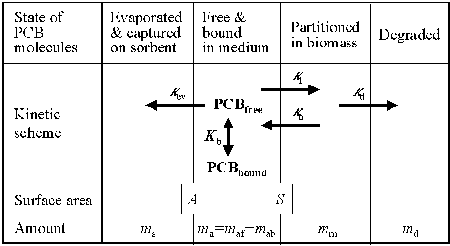 Figure 1. A kinetic scheme of the PCB fate in the suspension of bacterial biomass. In the aqueous phase, PCB can bind to the extracellular colloidal particles with the association constant Kb. 