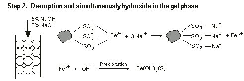 Step 2. Desporption and simultaeously hydroxide in the gel phase