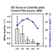 Figure 3. NO fluxes and soil temperature in forest stands in Catskills Preserve, NY, Summer 2000.