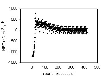 Figure 3. Simulated NEP over succession for Douglas-fir hemlock at H.J. Andrews.