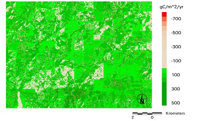 Figure 4. NEP in the H.J. Andrews LTER study area for a moderate climate year.