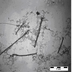 Figure B.2.7. TEM images of MWNT stabilized in SR NOM shown at different magnifications.