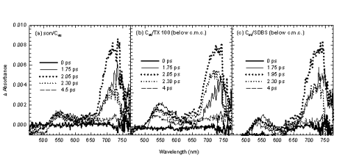 Figure B.4.5. Time-resolved differences absorption spectra of triplet state
