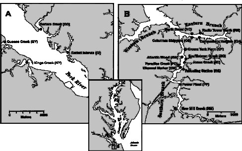 Figure 1. The Original (Panel B, nine South Branch sites) and Additional (four York River sites and four Eastern Branch Elizabeth River sites) Sites From Which Mummichog Genetic Data Were Assessed