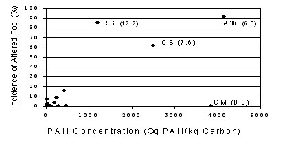 Figure 3. Three of the Four Sites With High Organic Carbon-Normalized PAH Concentrations had the Highest Level of Altered Foci in Mummichog Livers