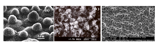 Similarity of synthesized coating surface morphology to lotus leaf:  (a) surface morphology of a lotus leaf, (b) surface morphology of ESC deposited CBN particles of various size, and (c) coating surface morphology after CVI.
