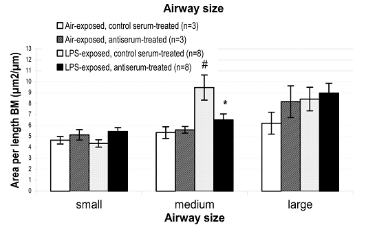 Figure 4. Airway Size