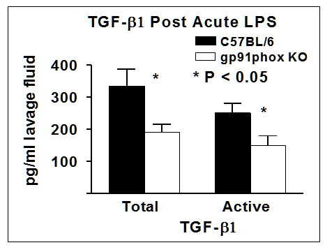 Figure  8. TGF-β1 Production Following LPS Challenge