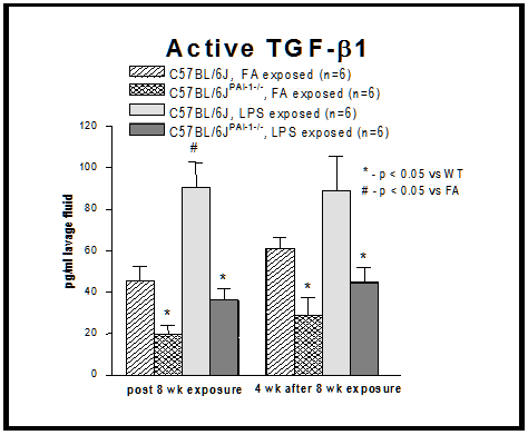 Figure 12. TFG-β1 Expression