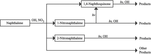 Figure 8. The Photochemical Oxidation Pathways Used to Determine the Ambient Abundances of Naphthalene and its Quinone-Like Reaction Products