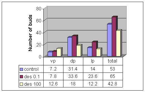 Using Reconstruction Image Data, the Budding Pattern Differences Are Observed Clearly, and the Low Dose Effects of a Positive Estrogen Control (DES) Suggest Growth Increases in the Dorsolateral and Ventral Regions of the Prostate (see Figure 2)