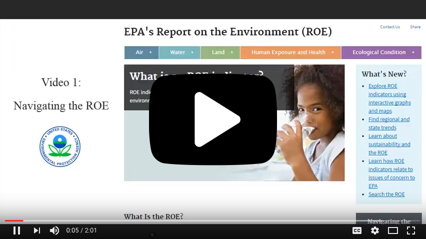 Video guide to the ROE.