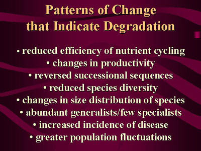 Patterns of change that indicate degradation