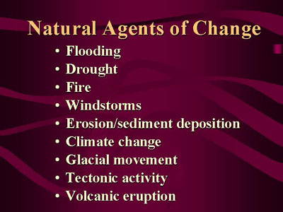 Natural agents of change: flooding, drought, fire, windstorms, erosion/sediment deposition, climate change, glacial movement, tectonic activity, and volcanic eruption
