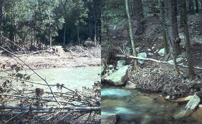 Left: photo of a flooded river Right: photo of a small stream with significant soil erosion.
