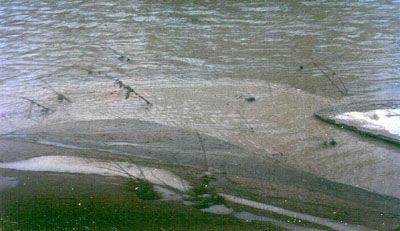 Photo of sediment deposition in a California river.